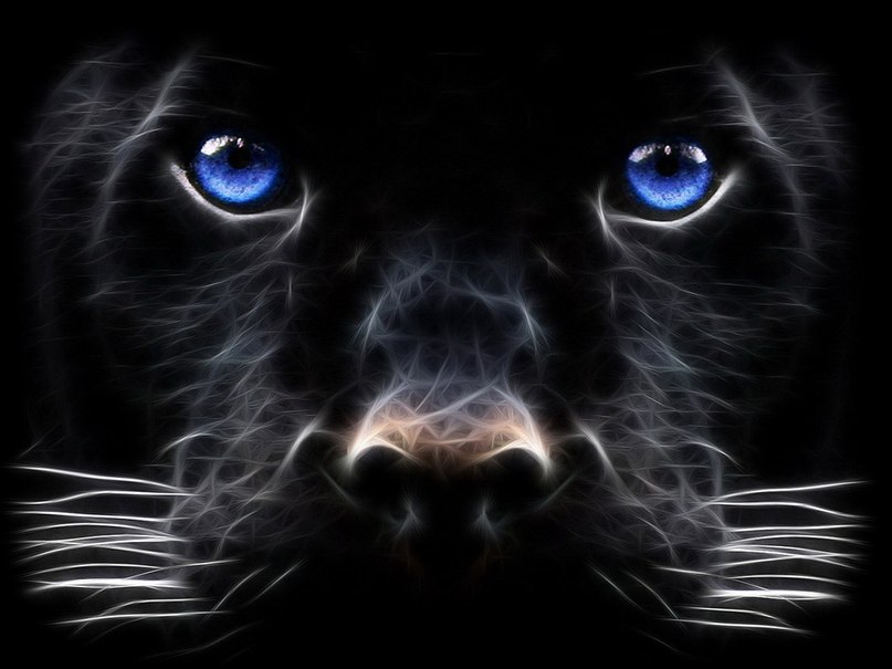 Серёга Сивуров | Искитим