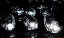 №17 Дамир Дюсенов