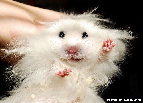 №159, Джамиля Хайруллина №159, Джамиля Хайруллина