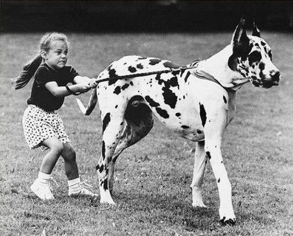 Татьяна Фадеева | Москва