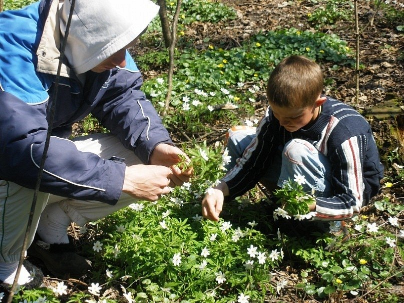 Снежа Лисюк | Житомир