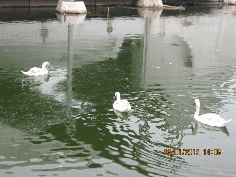 Вова Кушнір | Винница