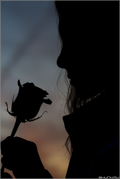 Ольга Никитина | Тула