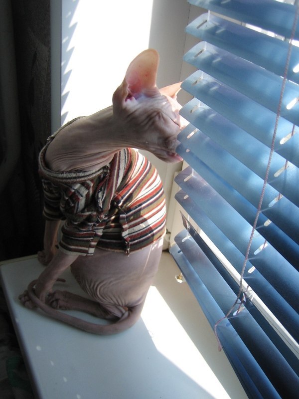 Натали Блонд | 