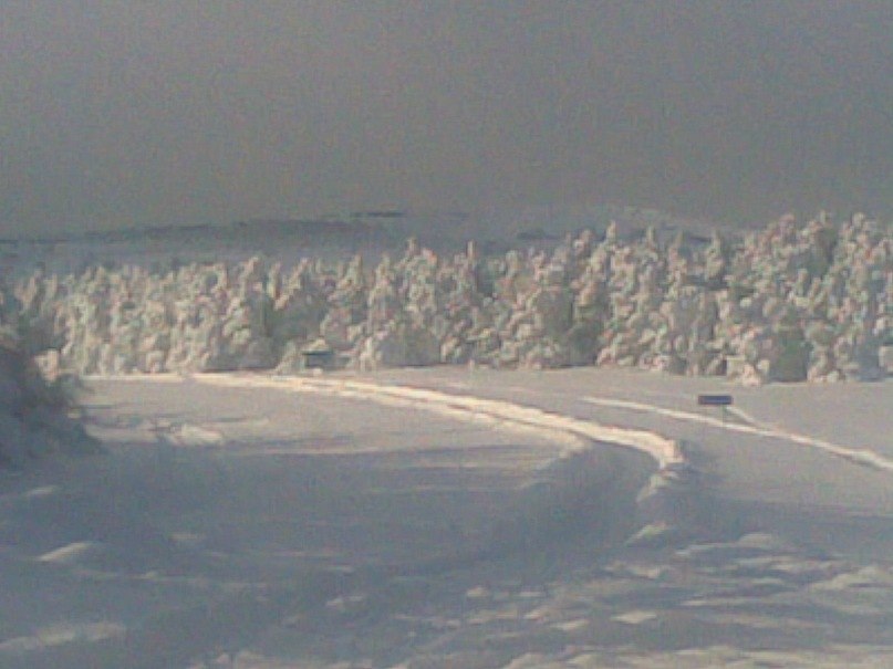 Александр Прожога | Ялта