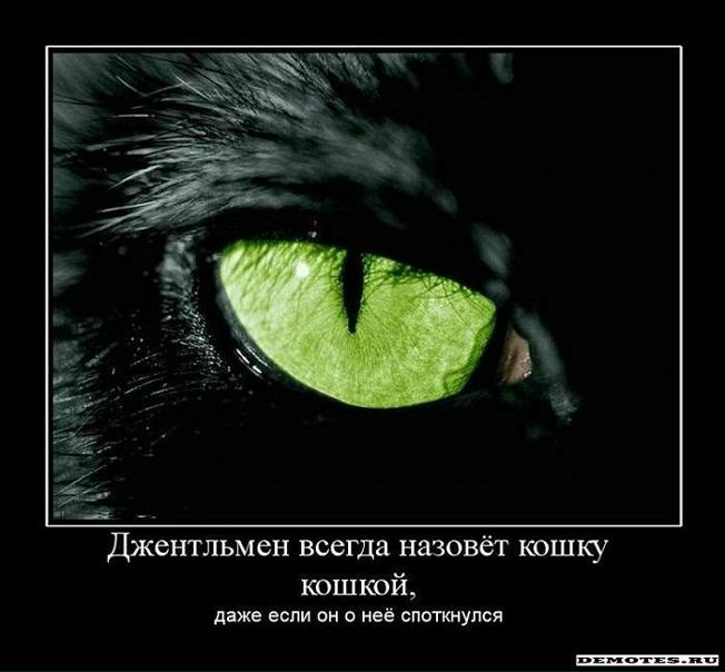 №52, Оксана Штогрин, 42 года, Сумы №52, Оксана Штогрин, 42 года, Сумы