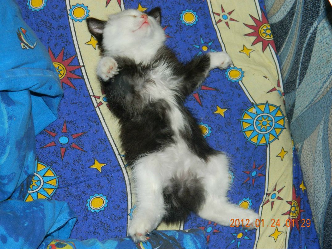 Алексей Калинин | Санкт-Петербург