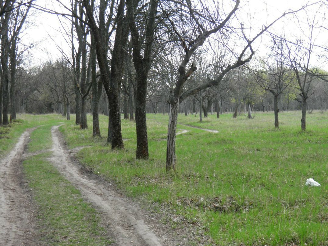 Александр Маласай | Днепр (Днепропетровск)