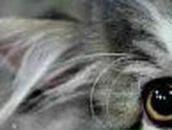 Ирина Лубенец -Soleil- | Днепр (Днепропетровск)