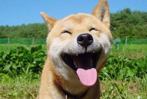 Артем Кириллов | Мариуполь