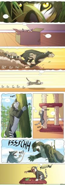 №53, Владимир Евдокимов, 42 года, Днепр (Днепропетровск) №53, Владимир Евдокимов, 42 года, Днепр (Днепропетровск)