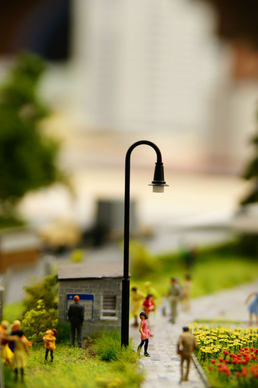 Евгений Стрункин | Санкт-Петербург