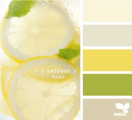 Натали Nevca | Днепр (Днепропетровск)