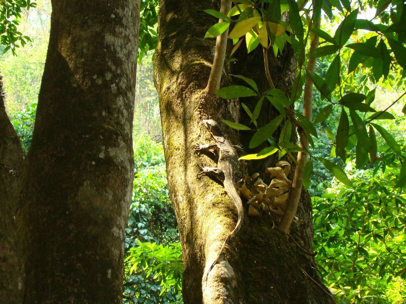 Татьяна Касьян | Москва