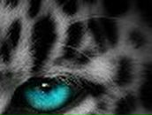 Вадим Вернигора | Тернополь