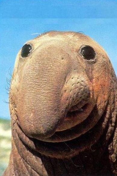 №104, Евгений Паньков, 36 лет, Санкт-Петербург, Россия №104, Евгений Паньков, 36 лет, Санкт-Петербург, Россия