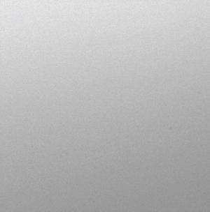 Irina Tokarrrr | Киев