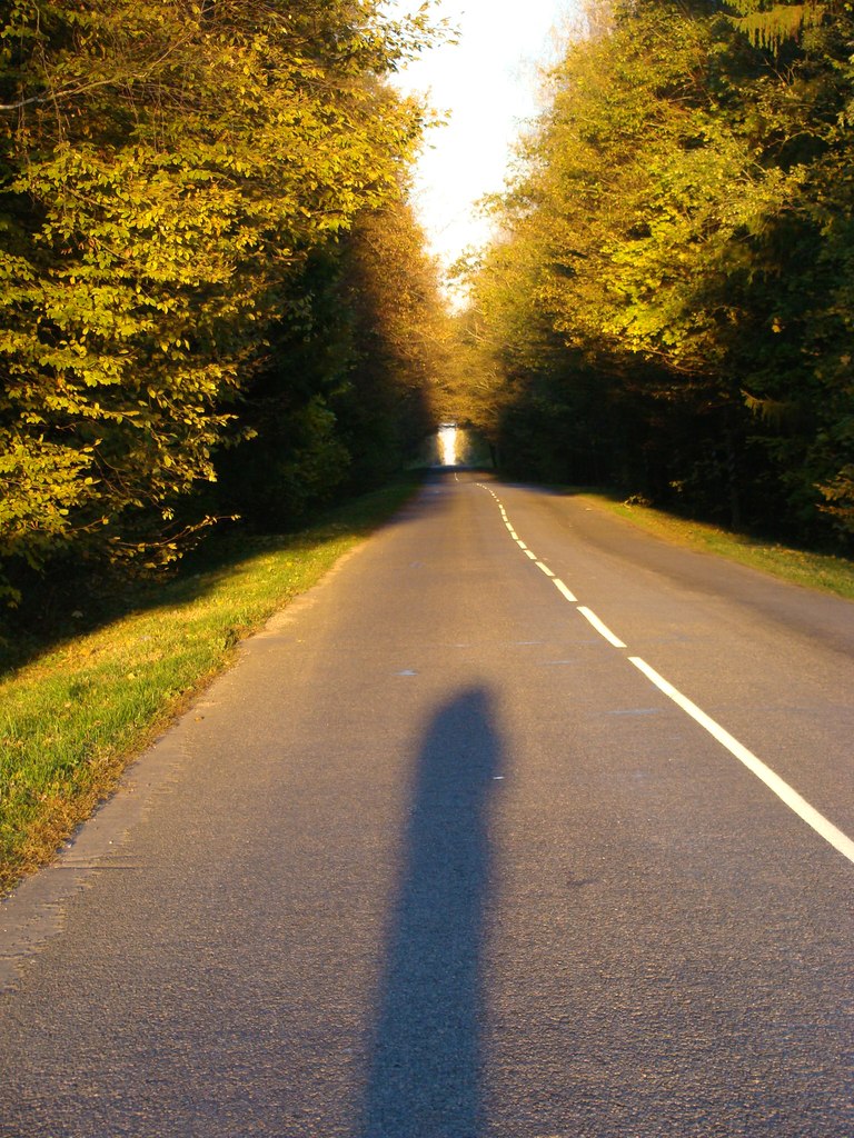 Вероника Пармон | Минск