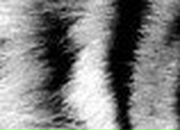 Миша Еремин | Москва