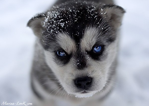 Евгений Сухарин =Николаевич= | Санкт-Петербург