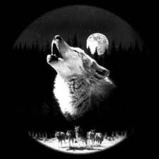 Андрей Калинин | Верхняя Тойма