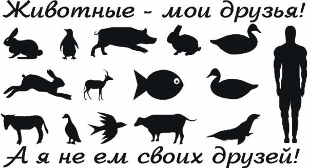 №38, Юрий Лавренюк №38, Юрий Лавренюк