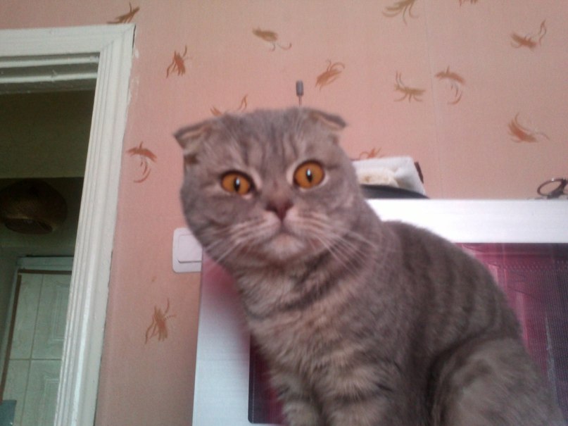 Игорь Воробьев Евгеньевич | Заволжск