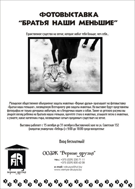 №95, Светлана Павлова, Подольск №95, Светлана Павлова, Подольск