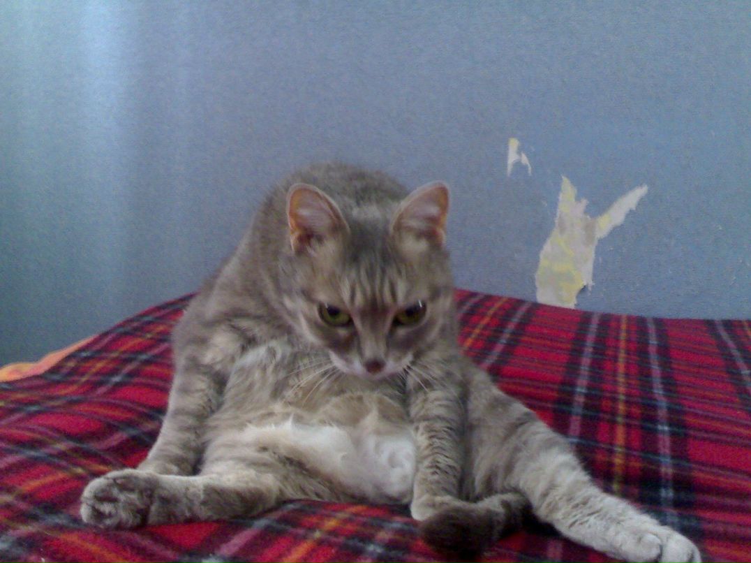 Влад Владов | Тольятти