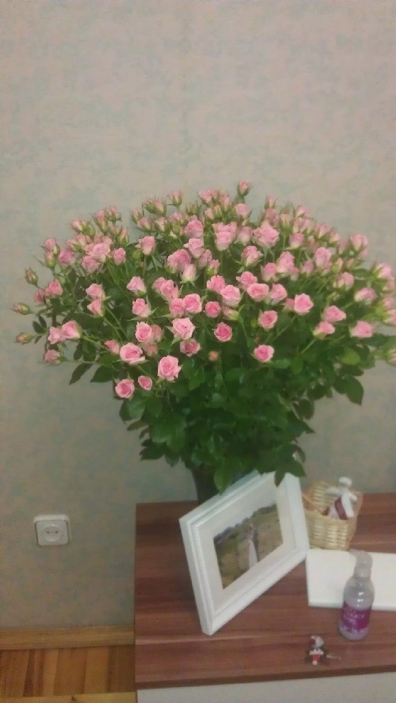 Максим Гундоров | Тула (поселок)