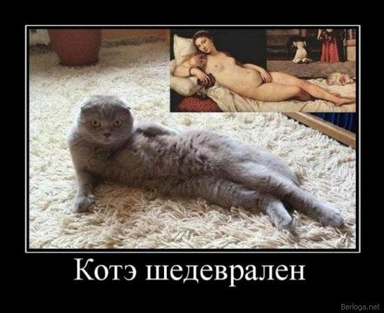 №75, Александр Яковенко, 37 лет, Киев №75, Александр Яковенко, 37 лет, Киев