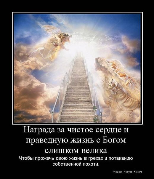 №73, Дмитрий Соловьев №73, Дмитрий Соловьев