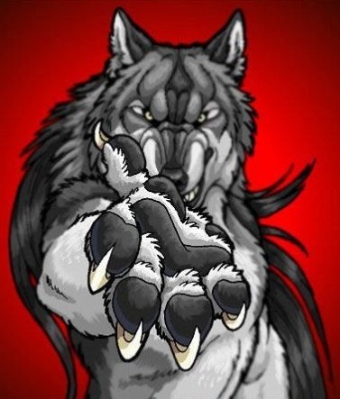 Alexandr Matveev | Нижний Новгород