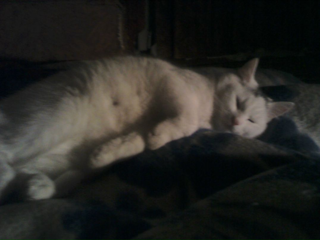 Юлия Рябинина | Кириши