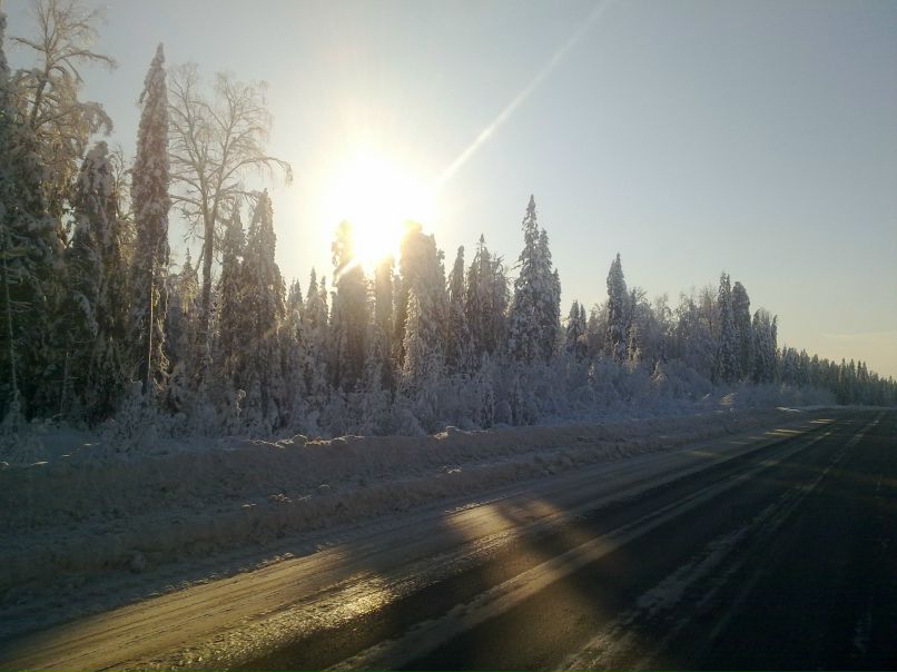 Дэн Соловей | Санкт-Петербург