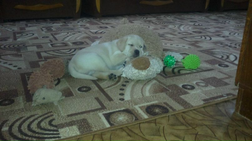 Юлия Язовских | Тихвин