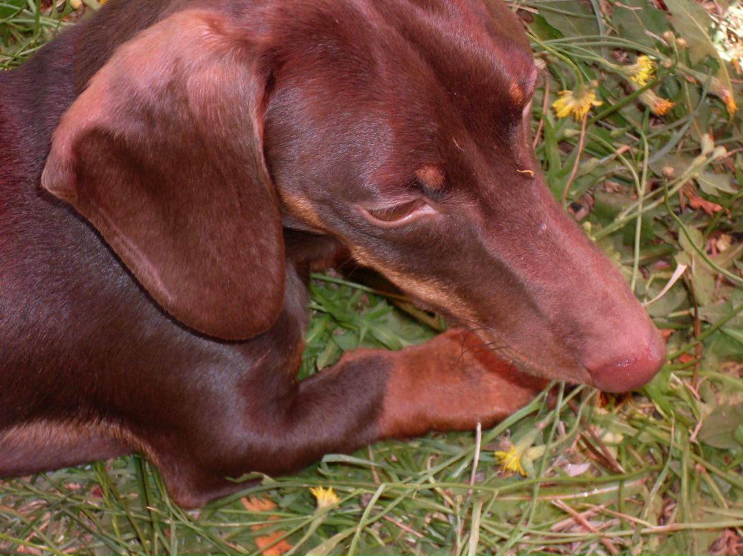 Стас Студеникин | Воронеж