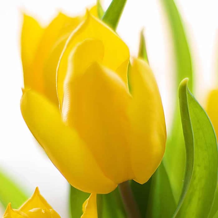 Татьяна Федорченко | Санкт-Петербург