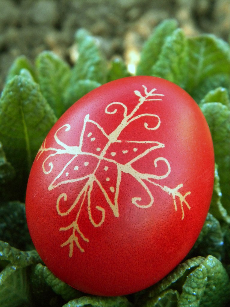 Zsuzsanna Gajdos | Мукачево