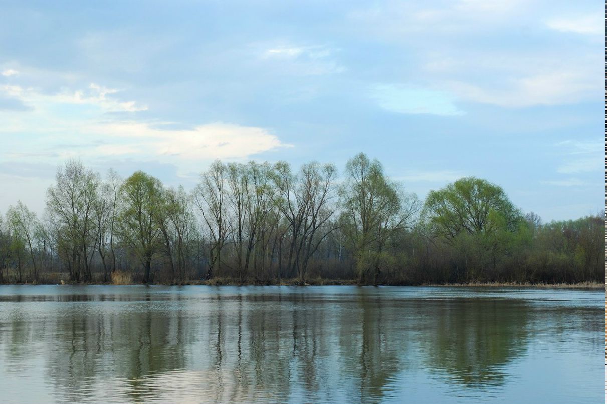 Сергей Сергеев | 