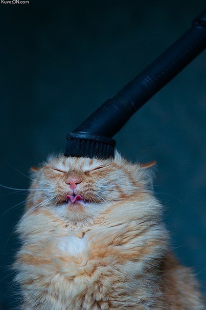 Мария Пономарева | Москва