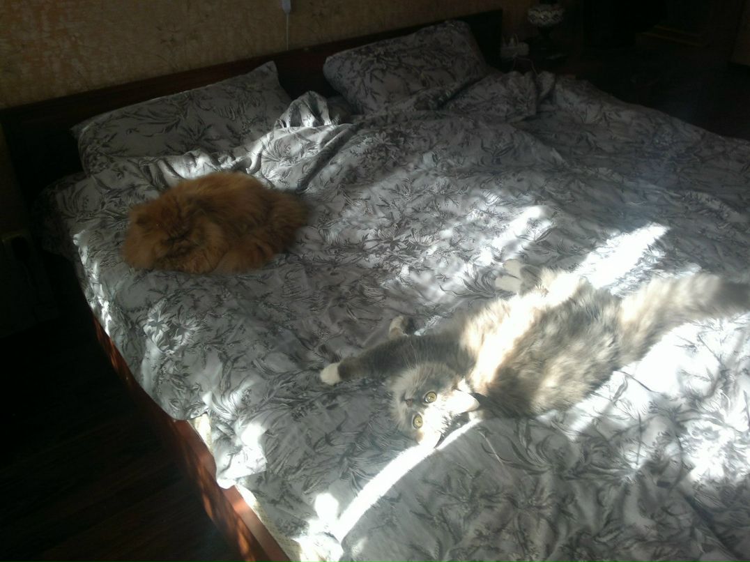 Роман Смирнов | Санкт-Петербург