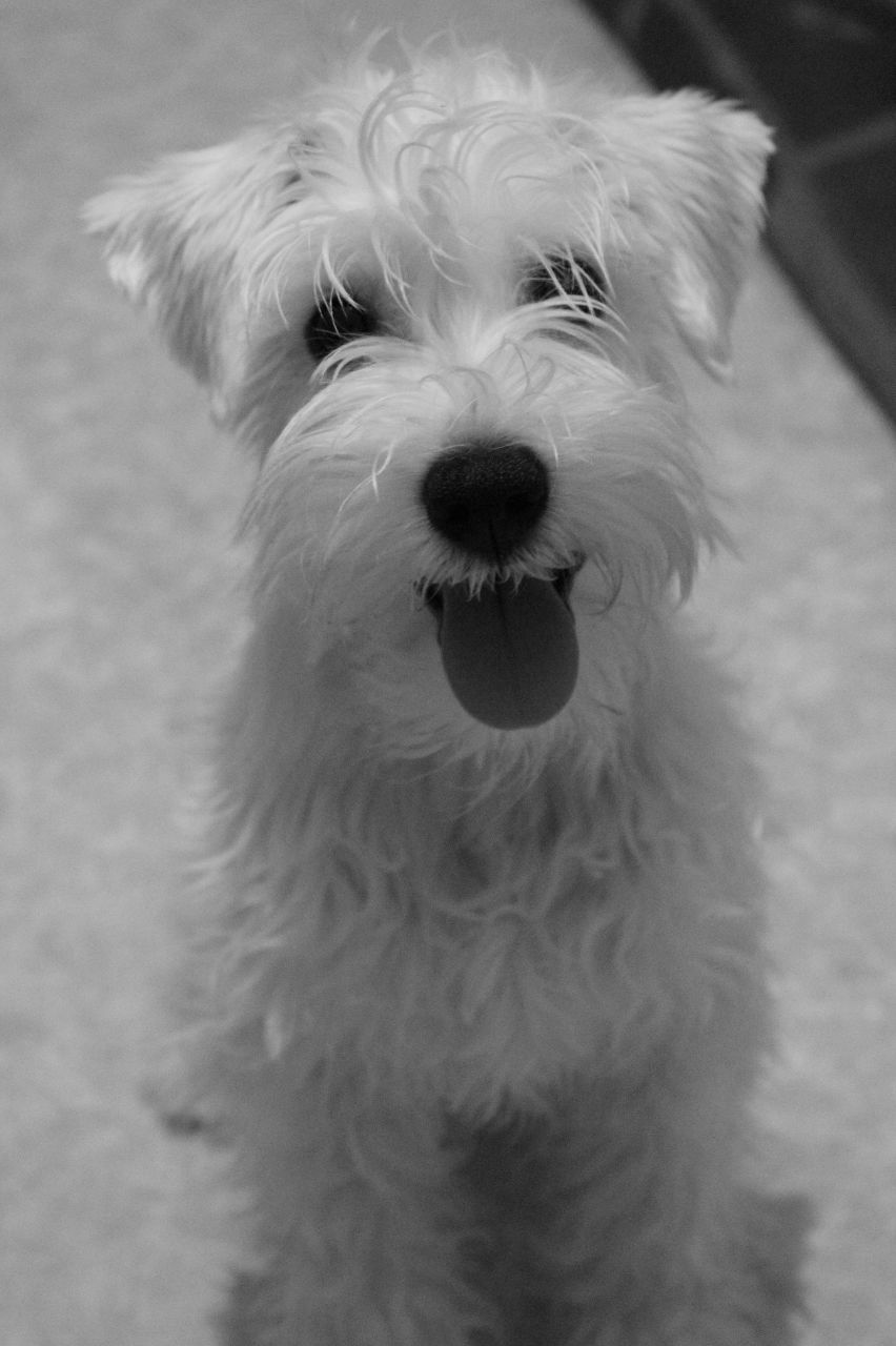 Татьяна Никифорова | Самара