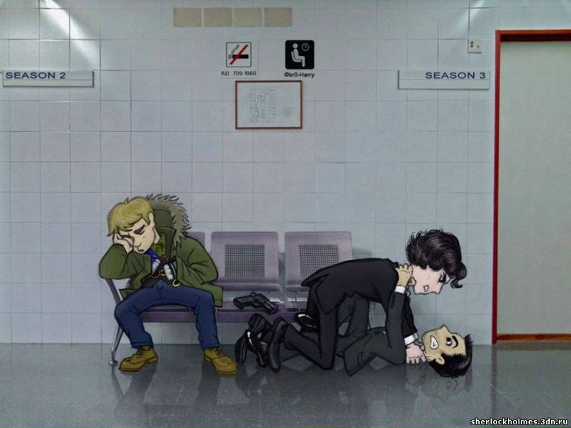 Алекс Дадашов | Rotterdam