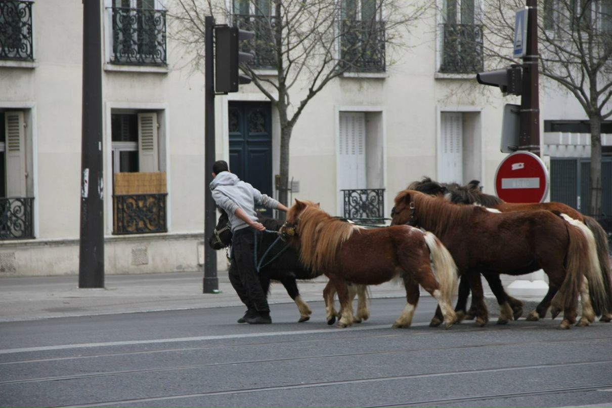 Екатерина Скалкина | Санкт-Петербург
