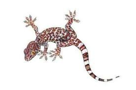 Иван Копейкин | Москва