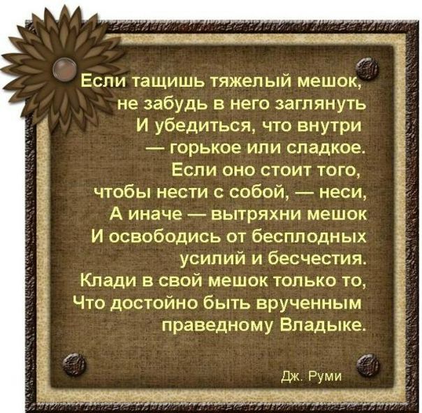 №37, Ire'na Sergius №37, Ire'na Sergius
