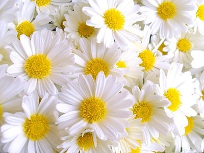 Марина Искандарова | Уфа