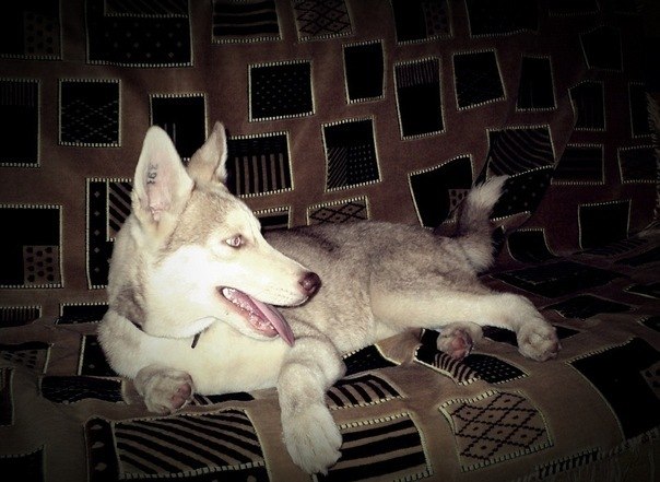 Тёма Михайлец | Кривой Рог