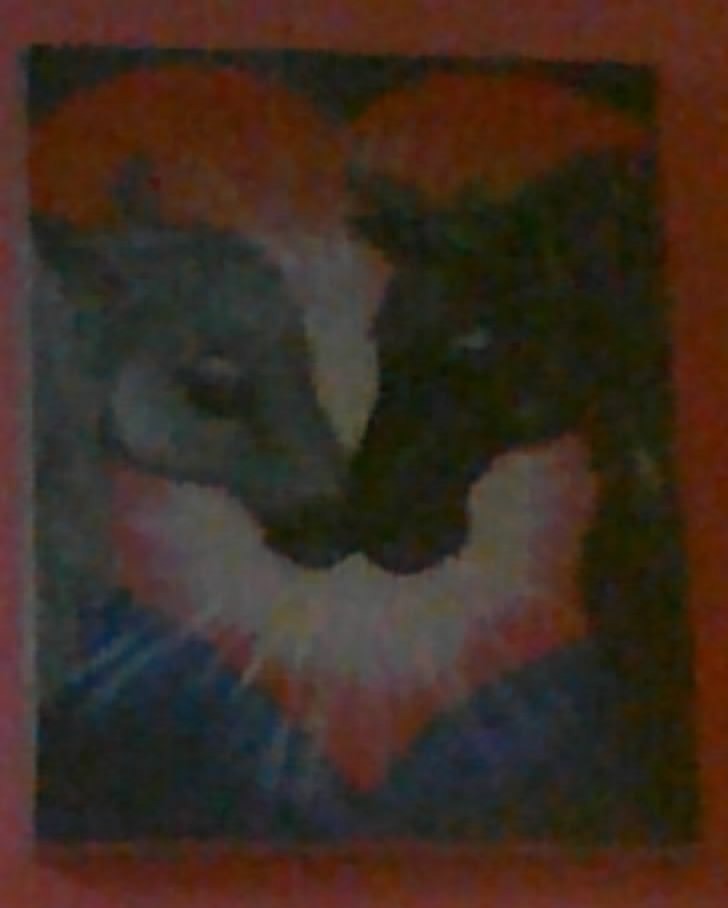 Александр Неправда | Ирпень